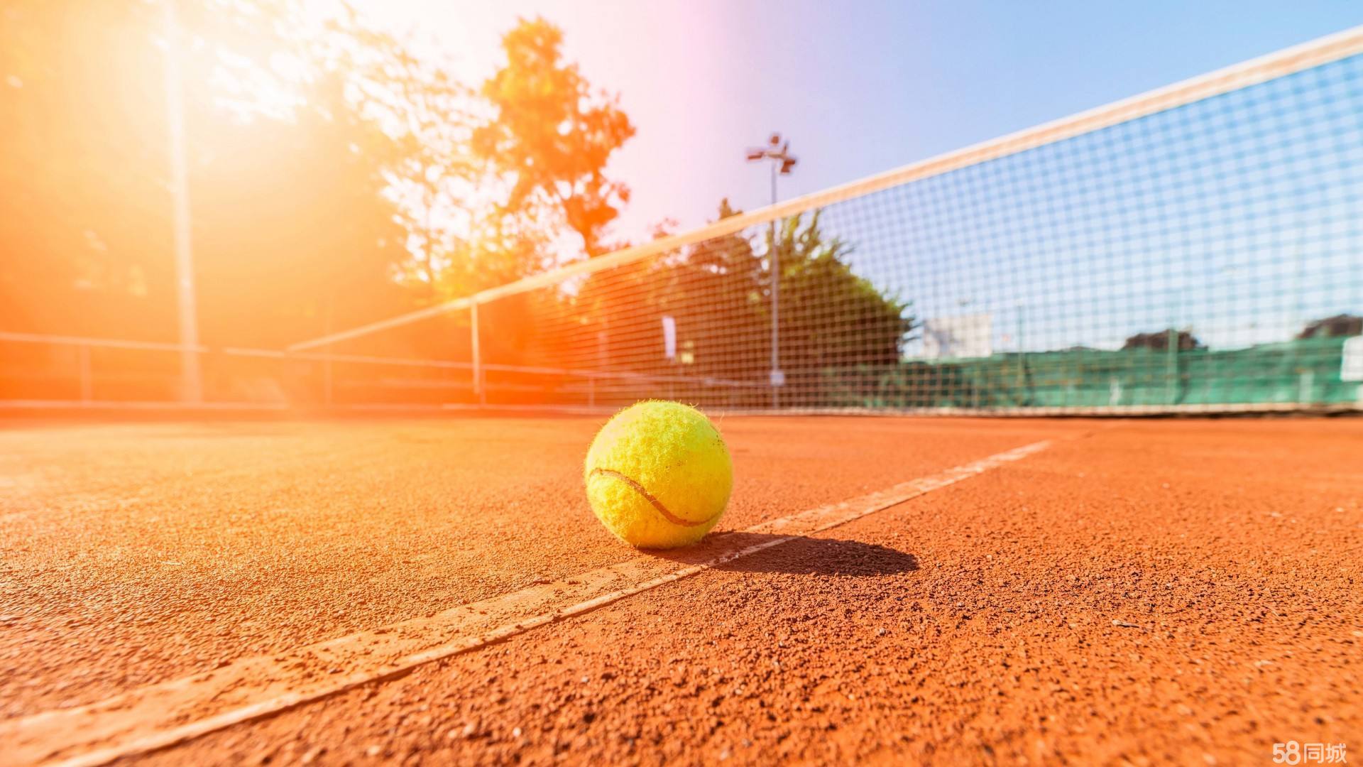 爱游官方网站登录入口